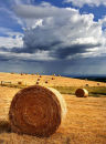 Bales and rain